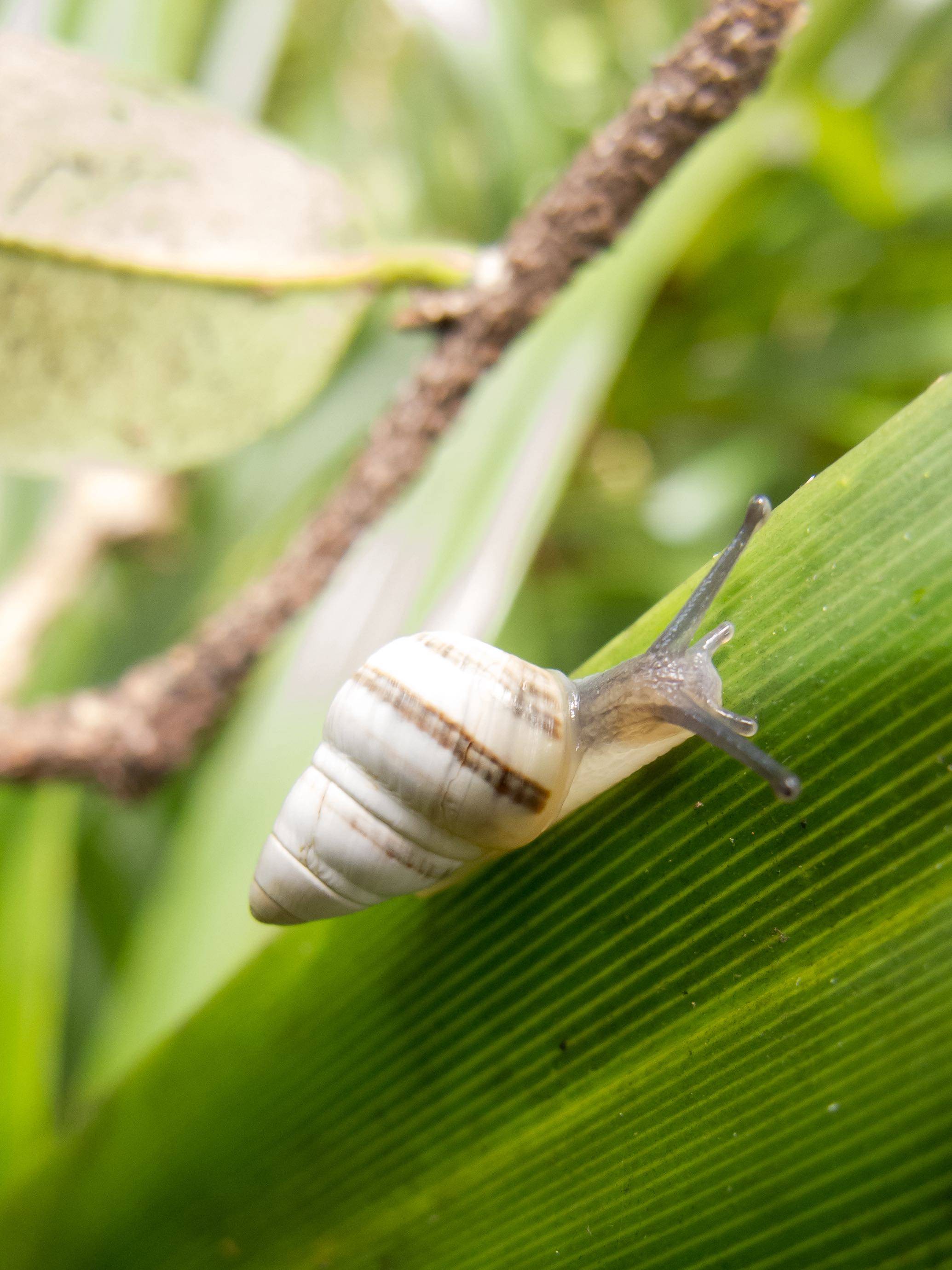 FRIENDS & PARTNERS 2022 Honolulu Beerworks